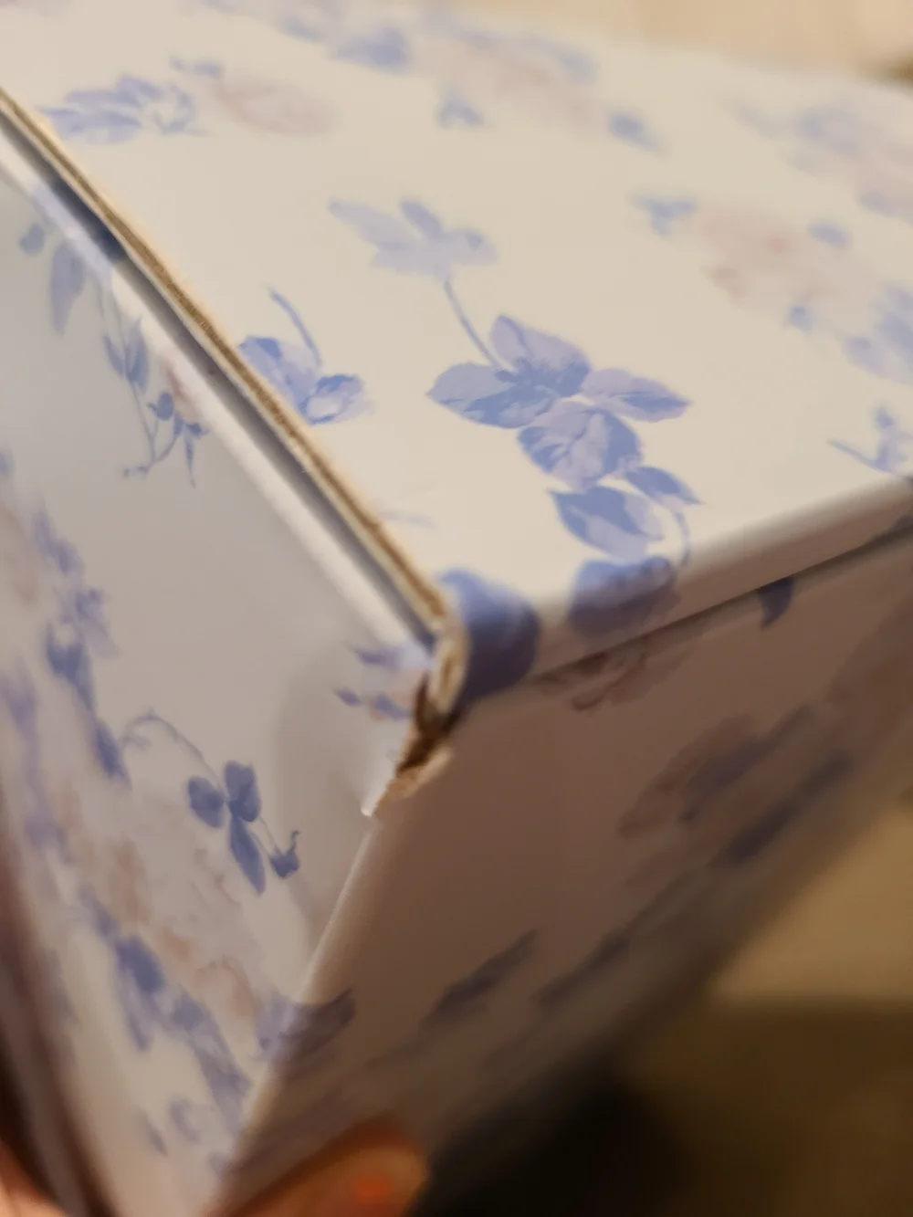 Special Edition packaging from the Stanley x LoveShackFancy Collaboration - Box